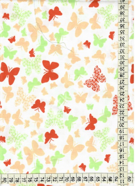 Plátno - motýli (1)